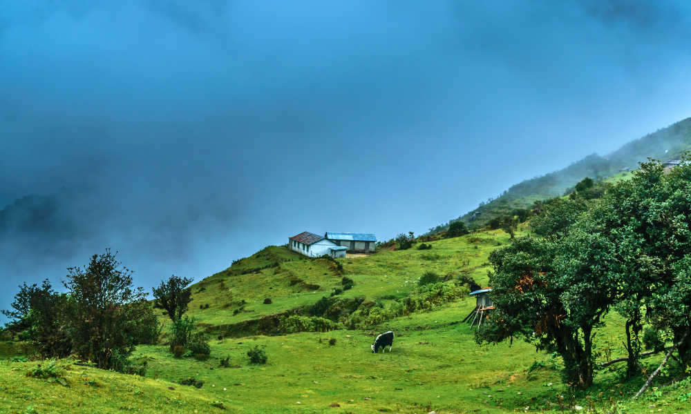 Hidden valley with root bridges in Meghalaya