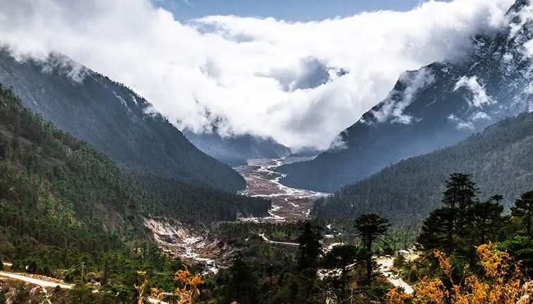 Darjeeling & Gangtok Discovery