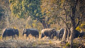 Jim Corbett Wildlife Weekend